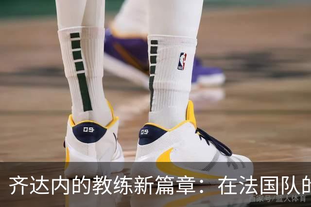 齐达内的教练新篇章：在法国队的初试锋芒与挑战